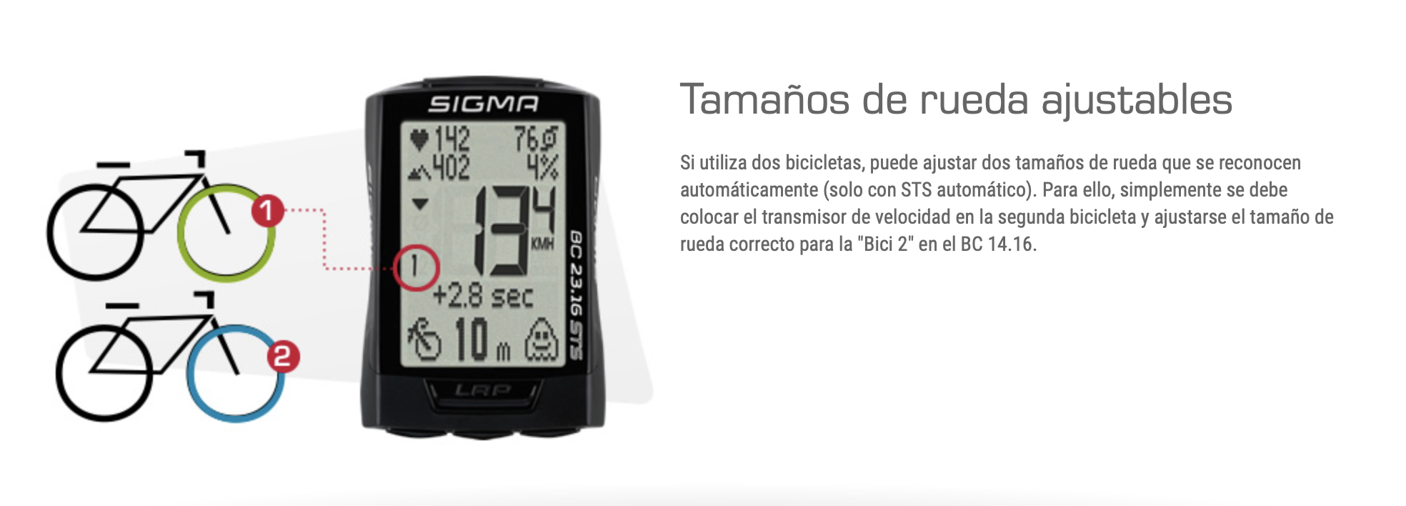 Screen Shot 2020-07-30 at 4.47.52 PM