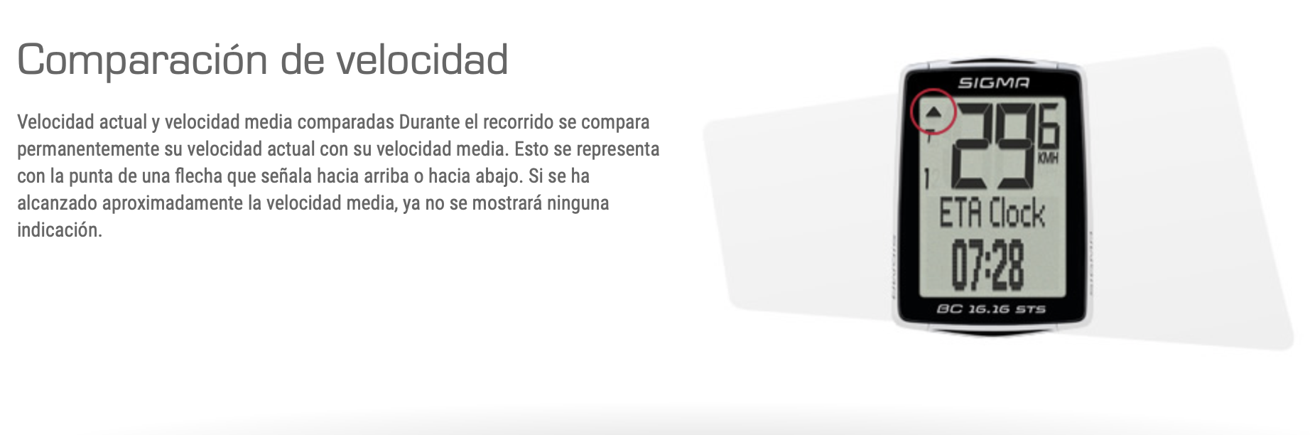 Screen Shot 2020-07-31 at 4.37.53 PM